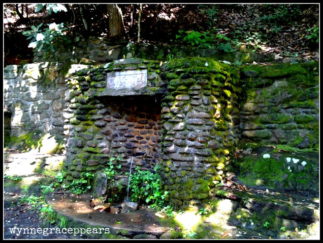 spring with moss on an angle edited