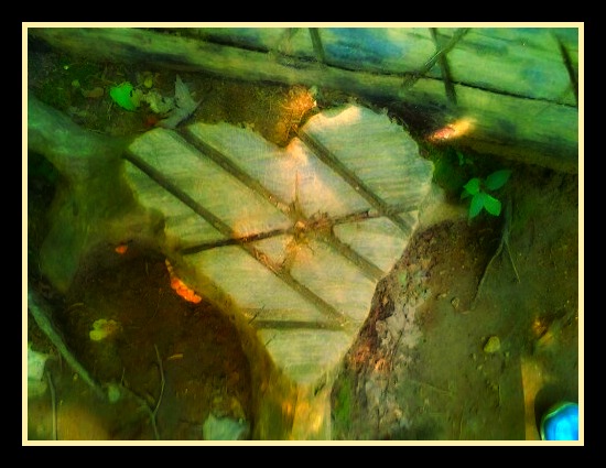 heart bright in wood