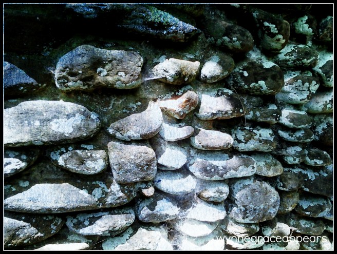 rock wall a FAVE moss shadows lichen