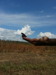 spencer with butterfly on hand
