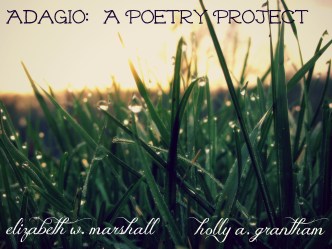 blades of grass adagio project