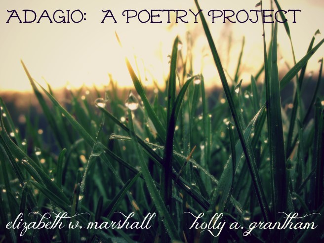 blades of grass adagio project