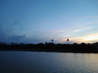 sunset over jeremy creek