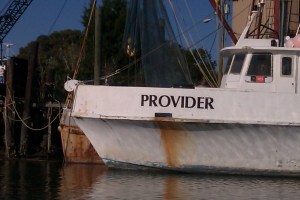 provider-mcclellanville