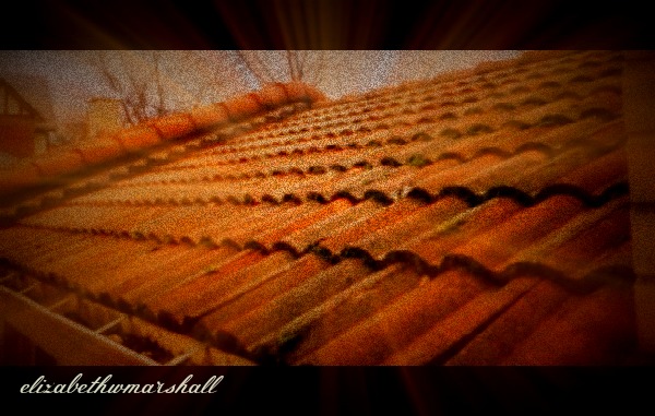 rolled tile roof in oak park