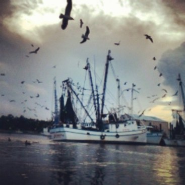 shrimp boats on at night