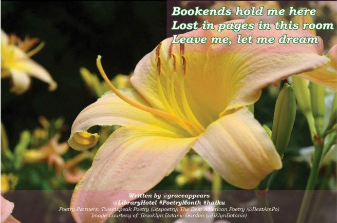 10151753_10152357372130295_5512235466619064527_n