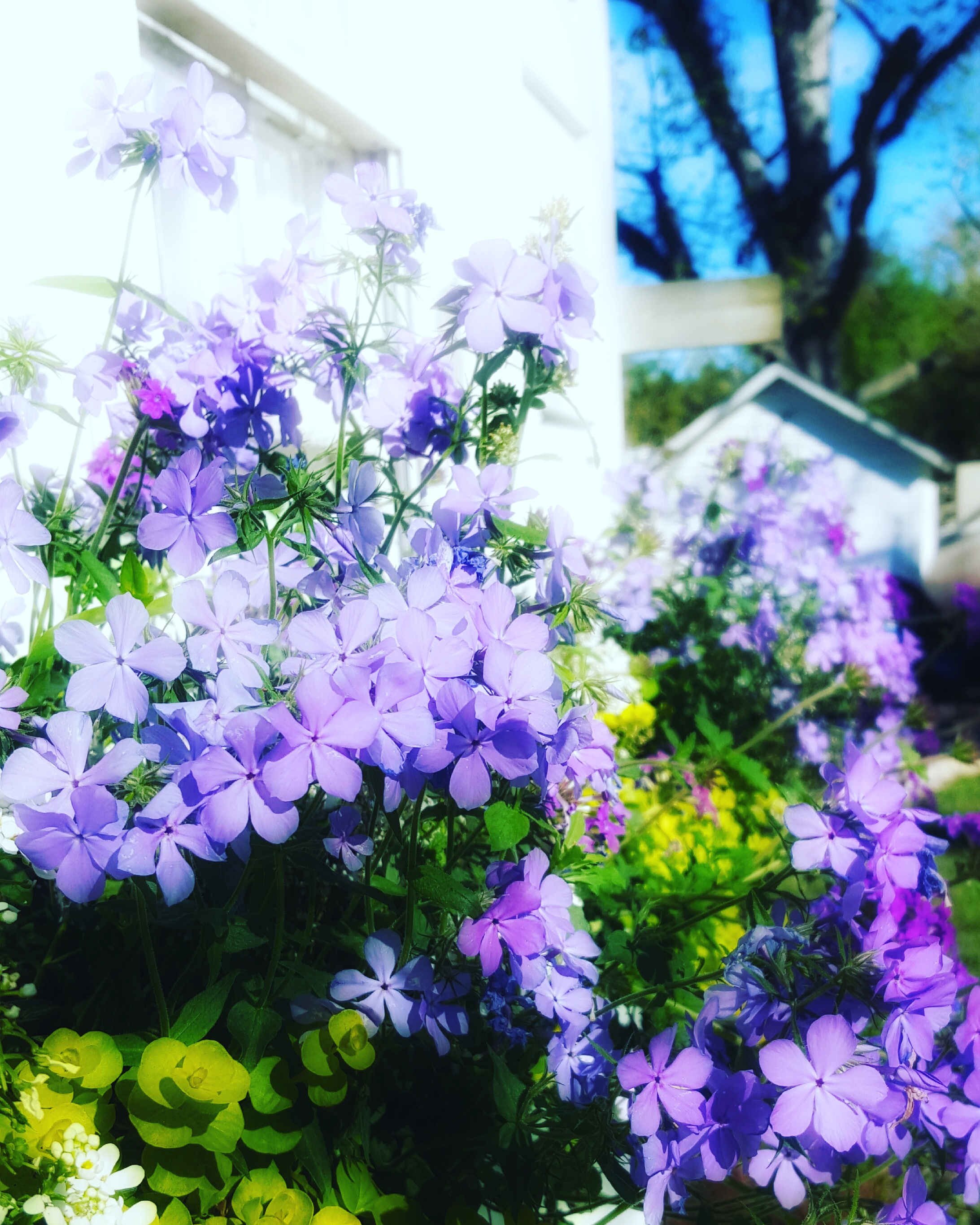 IMG_20170408_095445_464