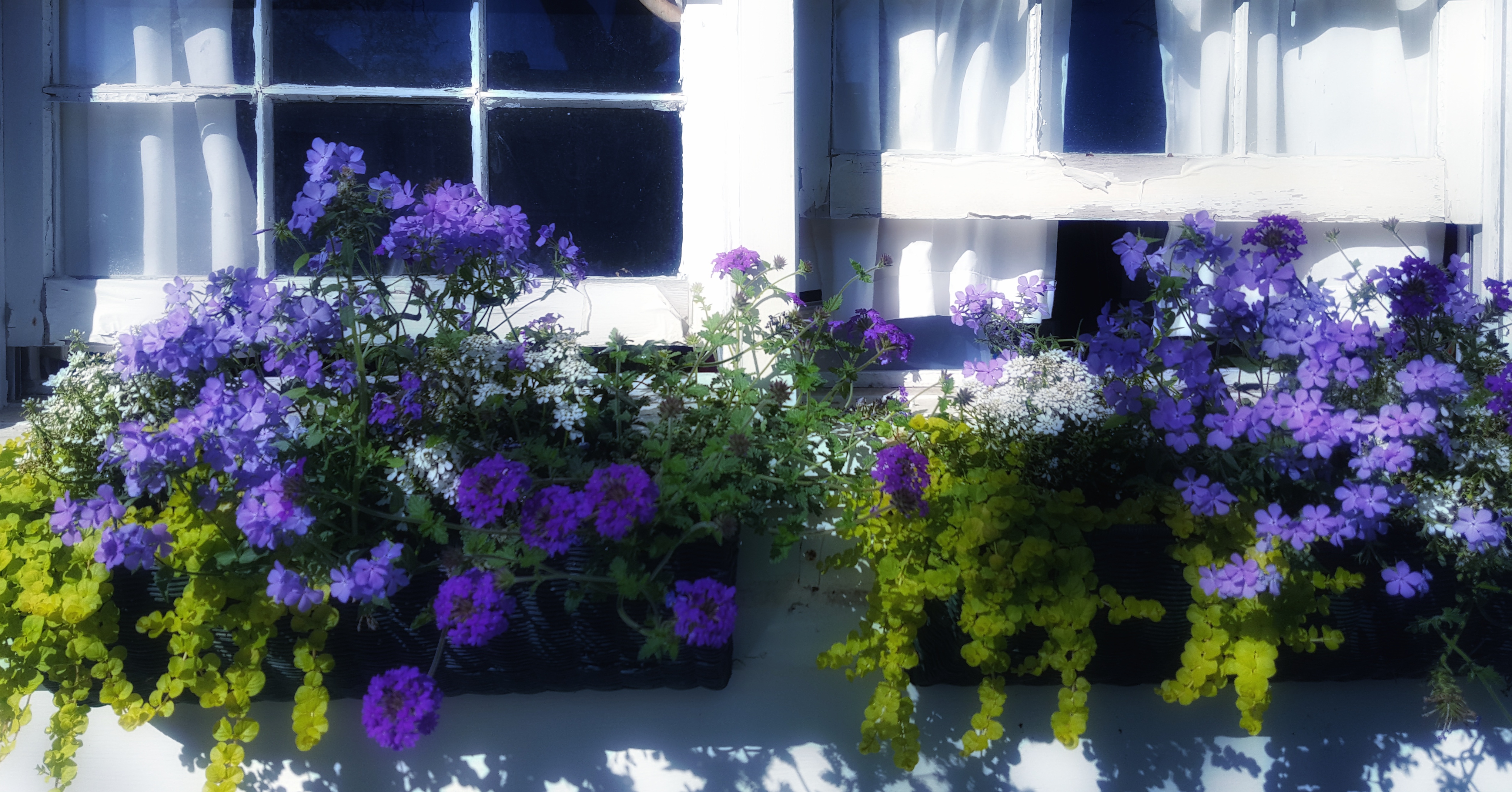 IMG_20170408_100125_039