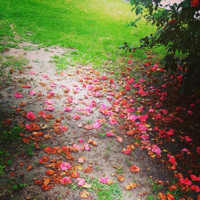 IMG_20170419_180728_574